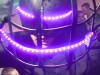 120310_cosmopolar_wd_001