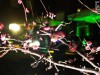 03.03.2012 | We love Disco!