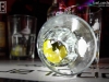 150404_cosmo_130