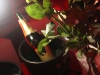 2013-04-06_cosmo_erfurt56