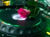130308_bel_008
