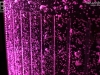 140808_cosmoef_00075