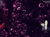 140808_cosmoef_00084