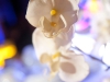 121110_cosmo_040
