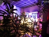 130713_bel_051