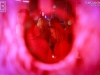 140913_cosmo_108