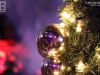 131214_bel_016