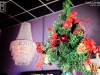 131214_bel_021