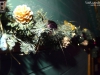 131214_bel_137