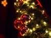 131214_bel_160