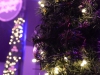 131214_bel_290