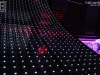 141115_bel_037