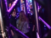 141115_bel_051