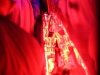 131123_bel_055