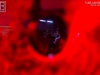 141223_cosmo40