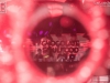141025_bel_134