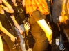160226_bel_040