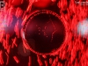 150829_bel_007